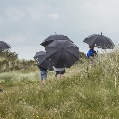 Umbrella.jpg